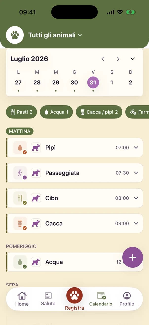 Kwispel — Calendario